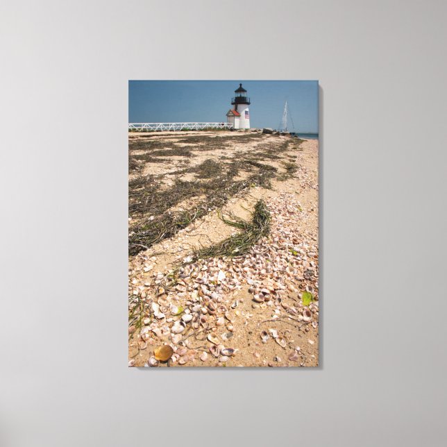 USA, Massachusetts, Nantucket. Shell Canvas Print (Front)