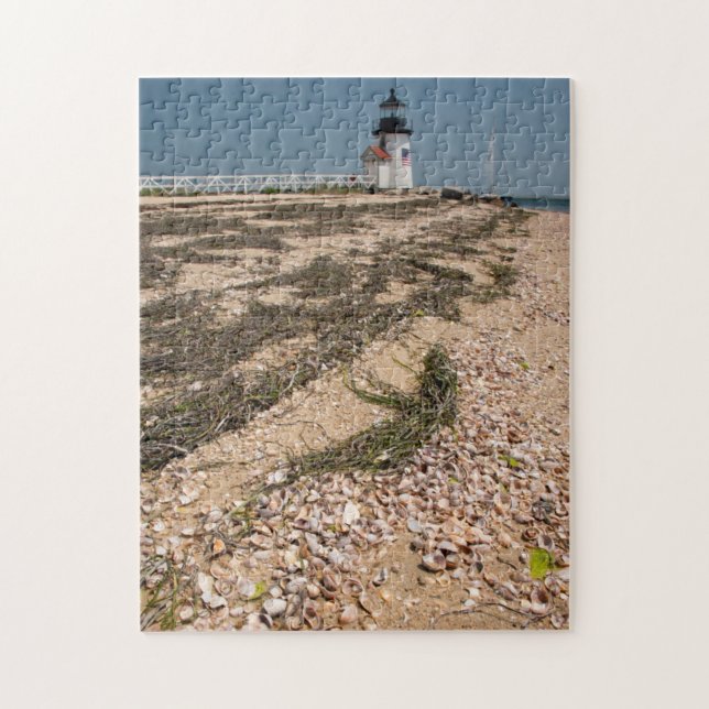 USA, Massachusetts, Nantucket. Shell Jigsaw Puzzle (Vertical)
