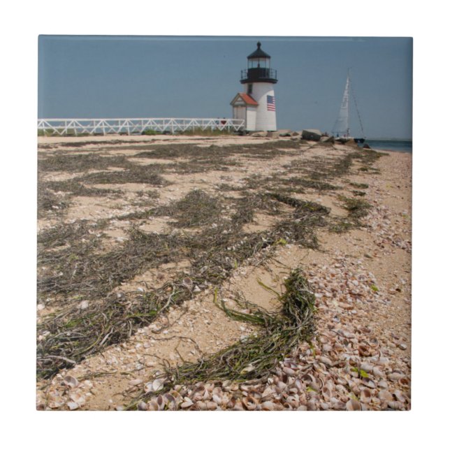 USA, Massachusetts, Nantucket. Shell Tile (Front)