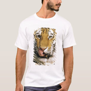 USA, Michigan, Detroit. Detroit Zoo, tiger T-Shirt