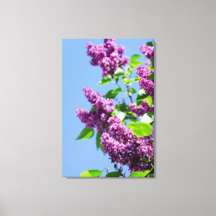 USA, Michigan, Lake Michigan, Mackinac Island Canvas Print