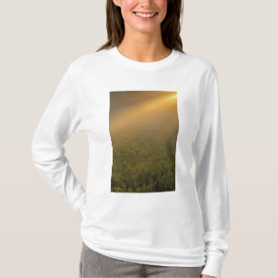 USA, Michigan, Meadow of goldenrod plants T-Shirt
