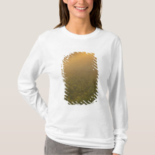 USA, Michigan, Meadow of goldenrod plants T-Shirt