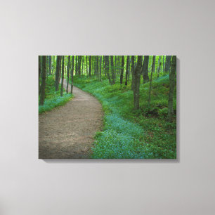 USA, Michigan. Miner's Falls Trail Canvas Print