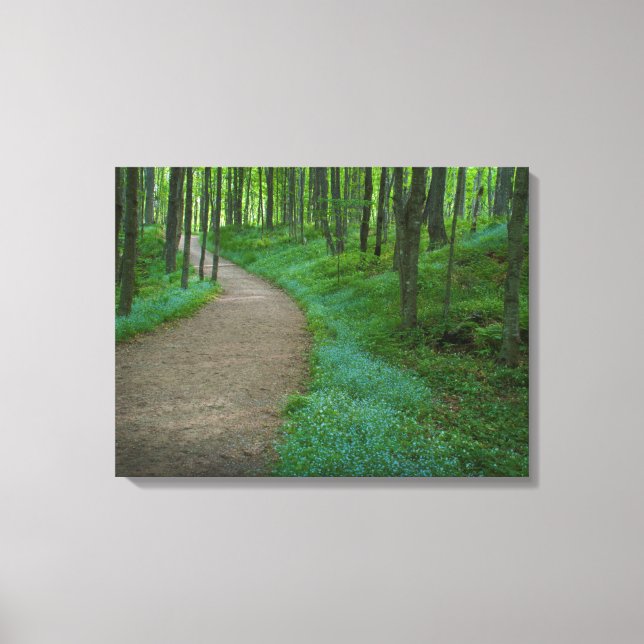 USA, Michigan. Miner's Falls Trail Canvas Print (Front)
