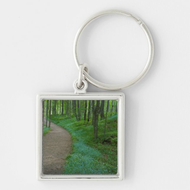 USA, Michigan. Miner's Falls Trail Keychain (Front)