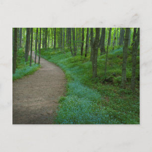 USA, Michigan. Miner's Falls Trail Postcard