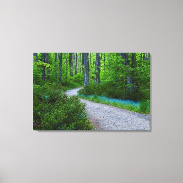USA, Michigan. Path Thru The Woods Canvas Print (Front)