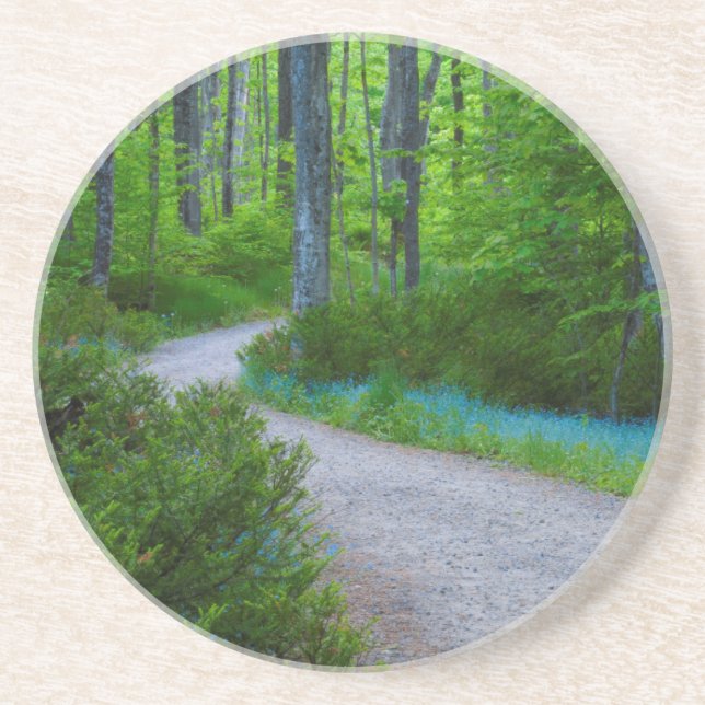 USA, Michigan. Path Thru The Woods Coaster (Front)