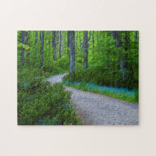 USA, Michigan. Path Thru The Woods Jigsaw Puzzle