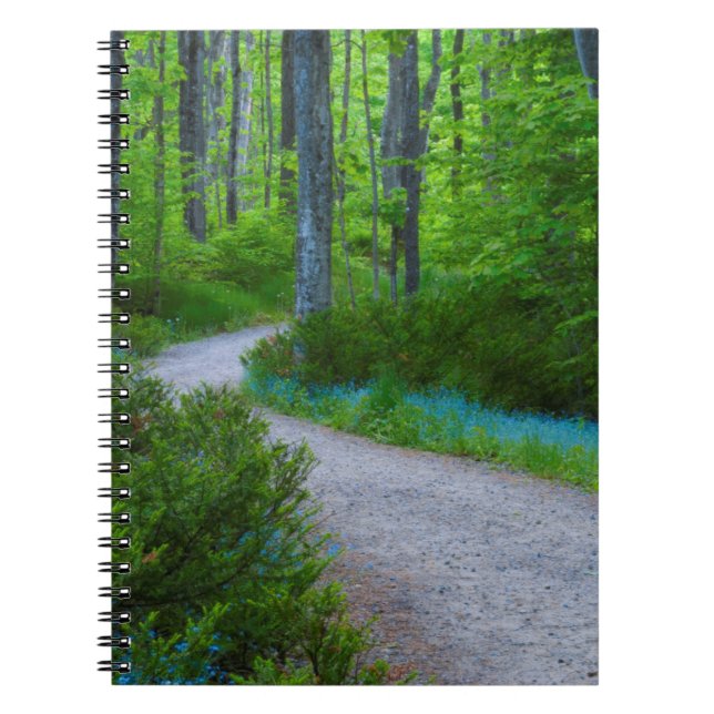 USA, Michigan. Path Thru The Woods Notebook (Front)