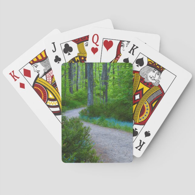 USA, Michigan. Path Thru The Woods Playing Cards (Back)