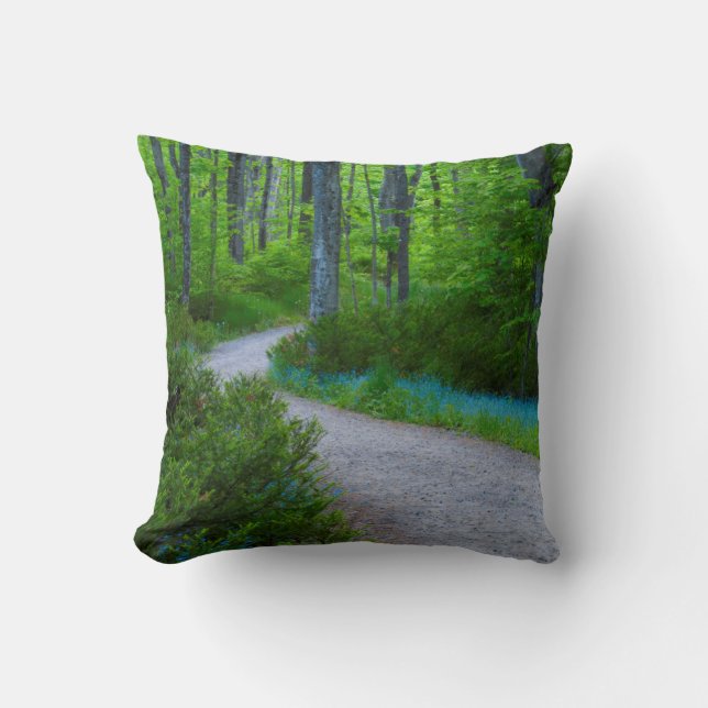 USA, Michigan. Path Thru The Woods Throw Pillow (Front)