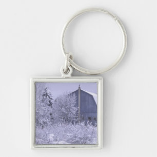 USA, Michigan, Rochester Hills. Snowy blue Keychain