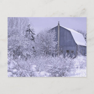 USA, Michigan, Rochester Hills. Snowy blue Postcard