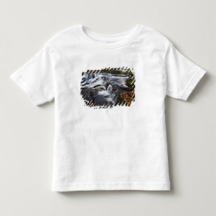 USA, Michigan, Upper Peninsula. Bond Falls and Toddler T-shirt