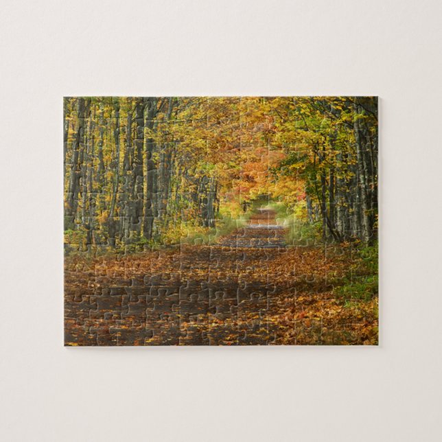 USA, Michigan, Upper Peninsula. Roadway into Jigsaw Puzzle (Horizontal)
