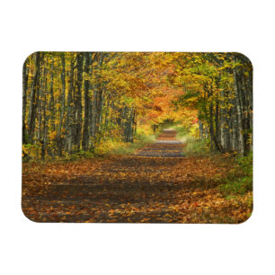 USA, Michigan, Upper Peninsula. Roadway into Magnet