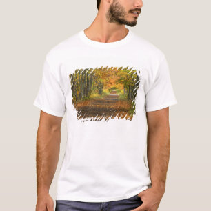 USA, Michigan, Upper Peninsula. Roadway into T-Shirt