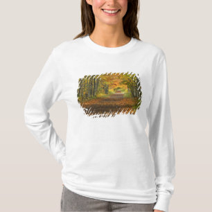 USA, Michigan, Upper Peninsula. Roadway into T-Shirt