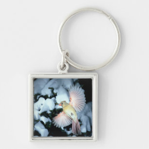 USA, Minnesota, Mendota Heights, Female Cardinal Keychain