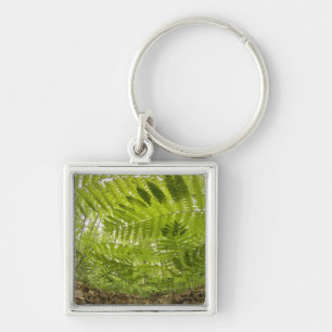 USA, MInnesota, North Shore Lake Superior, Keychain