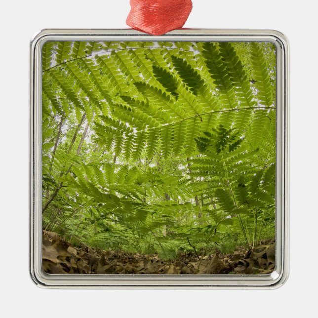 USA, MInnesota, North Shore Lake Superior, Metal Ornament (Front)