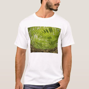 USA, MInnesota, North Shore Lake Superior, T-Shirt