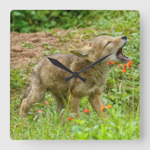 USA, Minnesota, Sandstone, Minnesota Wildlife 17 Square Wall Clock
