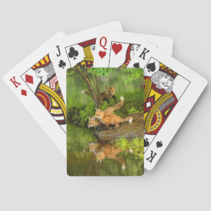 USA, Minnesota, Sandstone, Minnesota Wildlife 7 Playing Cards