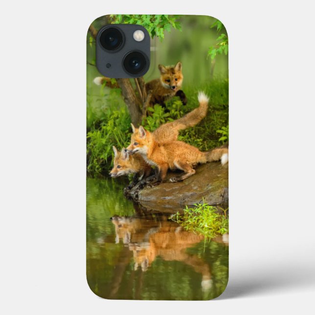 USA, Minnesota, Sandstone, Minnesota Wildlife Case-Mate iPhone Case (Back)