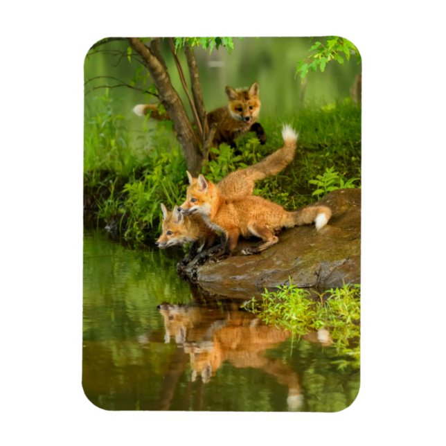 USA, Minnesota, Sandstone, Minnesota Wildlife Magnet (Vertical)