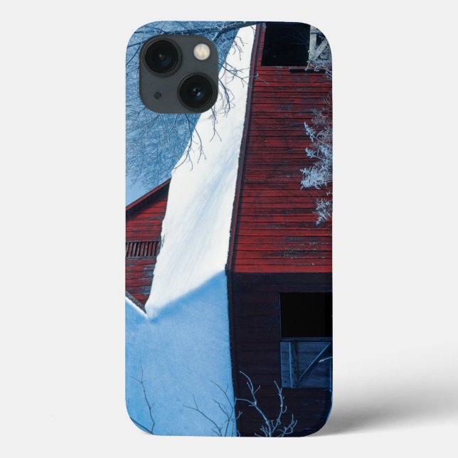 USA, Missouri, Jackson County, Fleming Park Case-Mate iPhone Case (Back)