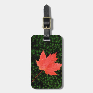USA, Missouri, Mark Twain National Forest Luggage Tag