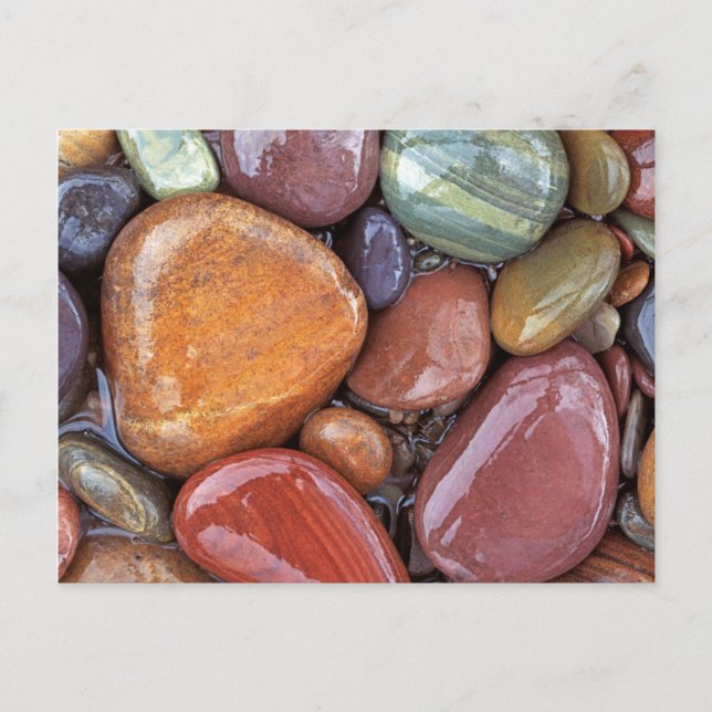 USA, Montana, Clark Fork River, Stones 2 Postcard (Front)