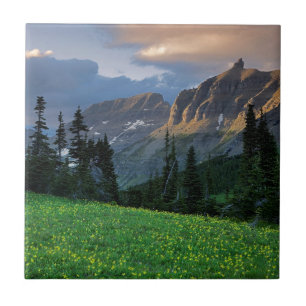 USA, Montana, Glacier National Park, Logan Pass Tile