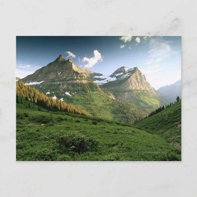 USA, Montana, Glacier National Park Postcard (Front)