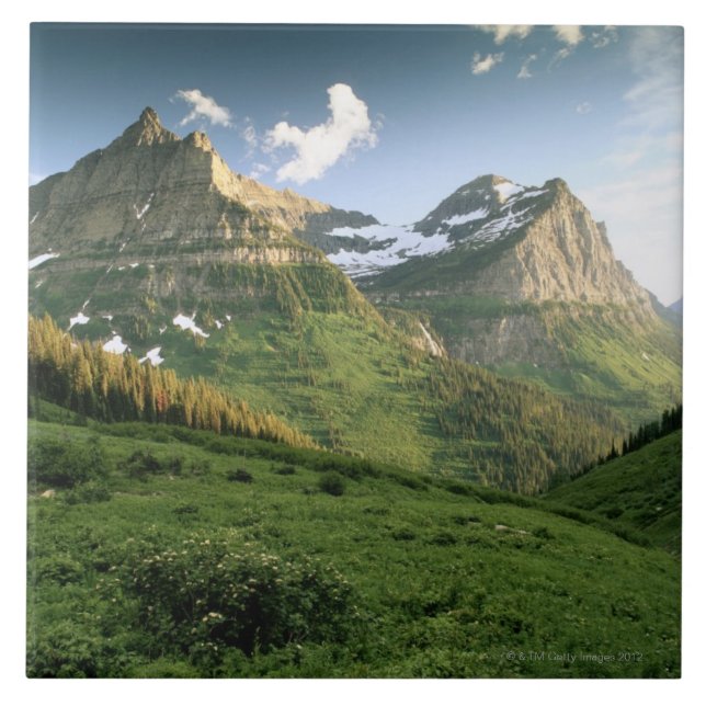 USA, Montana, Glacier National Park Tile (Front)