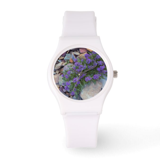 USA, Montana, Glacier National Park Watch (Front)