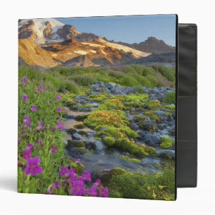 USA, Mt. Rainier National Park, Washington. Binder