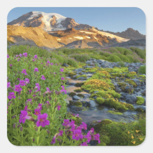 USA, Mt. Rainier National Park, Washington. Square Sticker