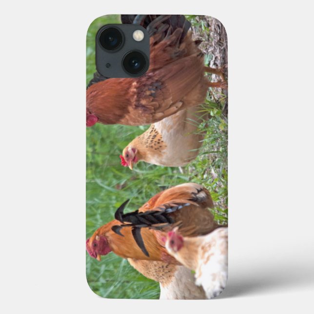 USA, Nebraska. Chickens Case-Mate iPhone Case (Back)