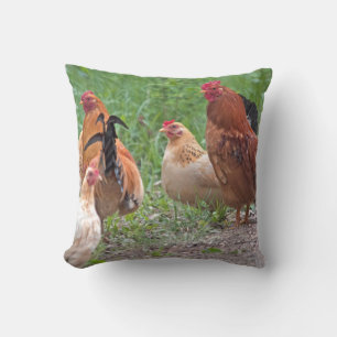 USA, Nebraska. Chickens Throw Pillow