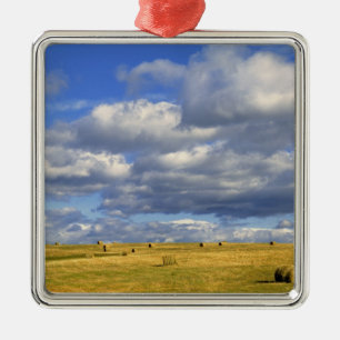 USA, Nebraska, Morrill County. Golden hay Metal Ornament