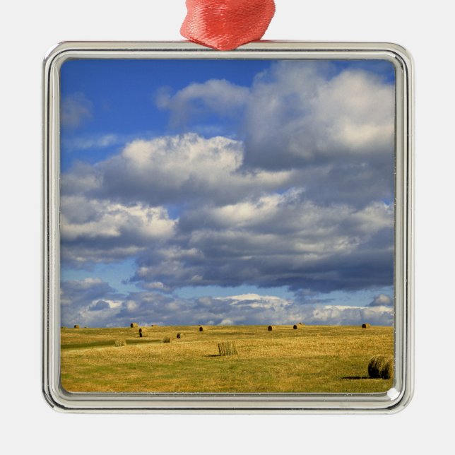 USA, Nebraska, Morrill County. Golden hay Metal Ornament (Front)