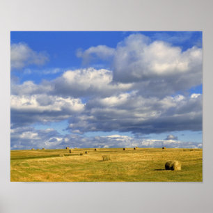 USA, Nebraska, Morrill County. Golden hay Poster