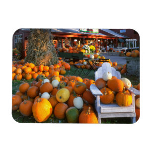 USA, New England, Maine, Wells. Autumn Display Magnet