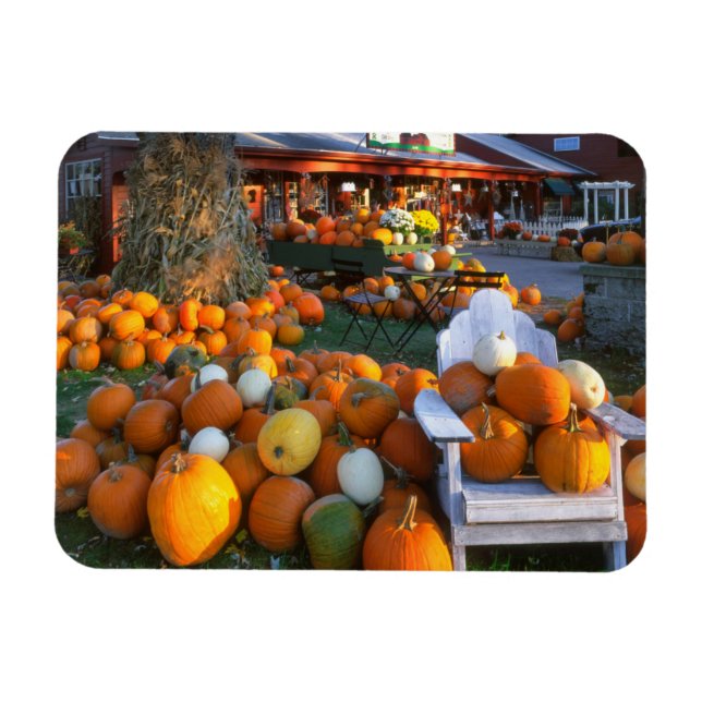 USA, New England, Maine, Wells. Autumn Display Magnet (Horizontal)