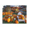 USA, New England, Maine, Wells. Autumn Display