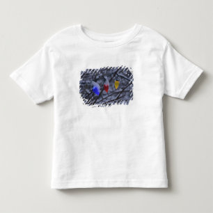 USA, New England, Massachusetts, Reading, 2 Toddler T-shirt